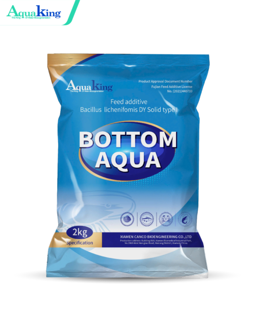 BOTTOM AQUA - Hấp Thụ Khí Độc NH3, NO2, H2S - Xử Lý Nước Nuôi Tôm