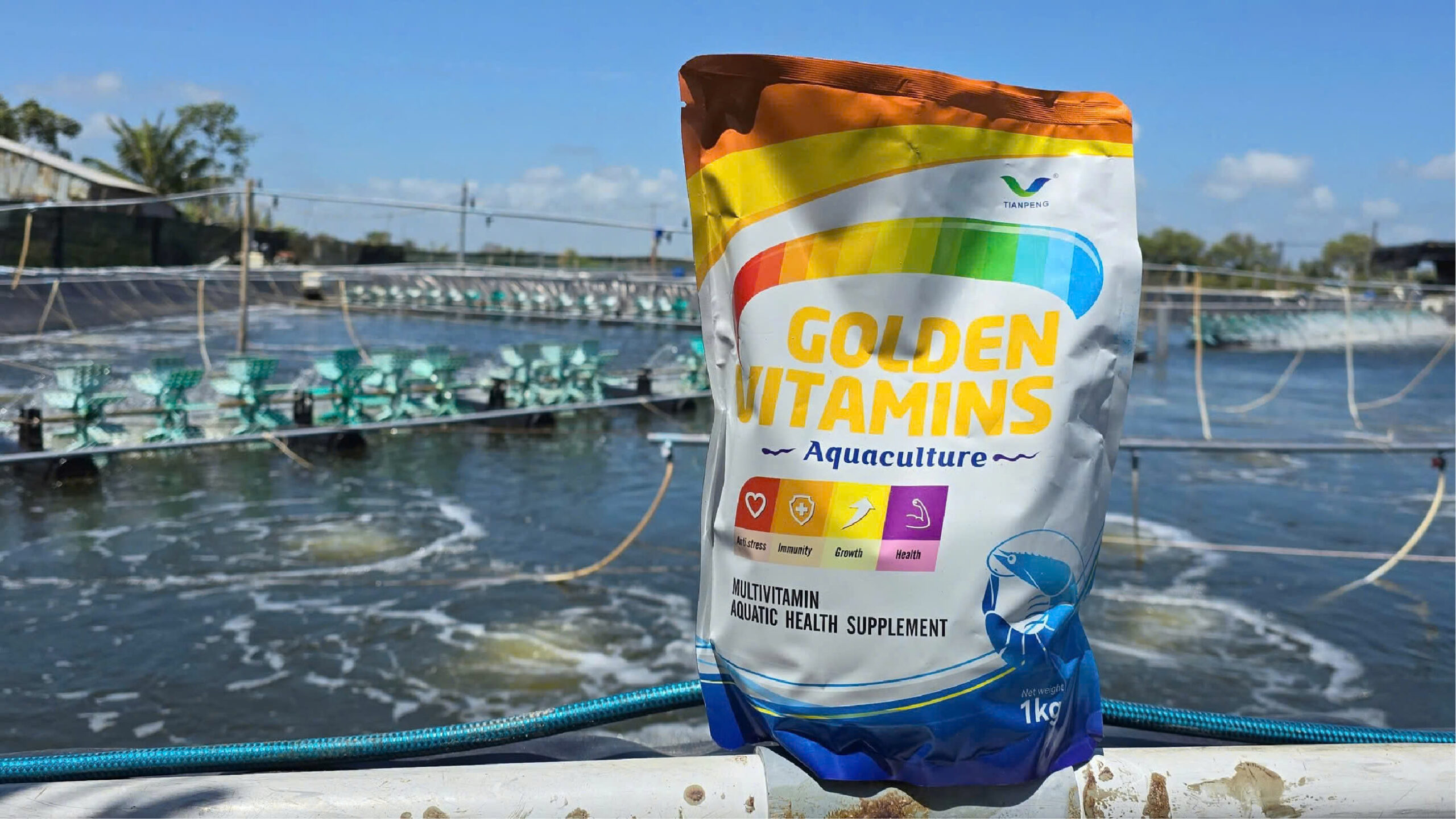 Golden Vitamins – Bổ sung vitamin cho tôm, tăng trưởng nhanh, tăng sức đề kháng, cải thiện chất lượng thịt và tối ưu chi phí nuôi.