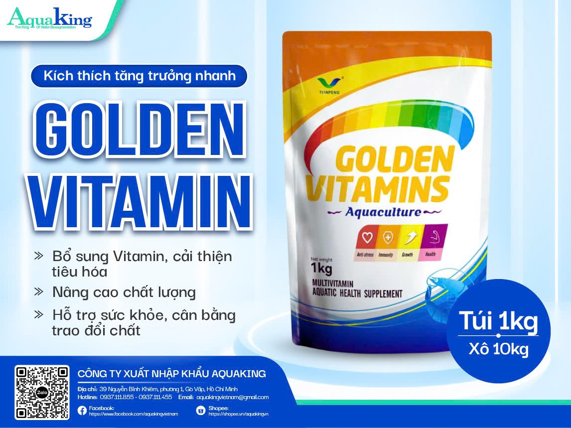 Bổ sung vitamin cho tôm bằng Golden Vitamins giúp tăng sức đề kháng, ngăn bệnh, cải thiện chất lượng thịt và nâng cao lợi nhuận vụ nuôi.