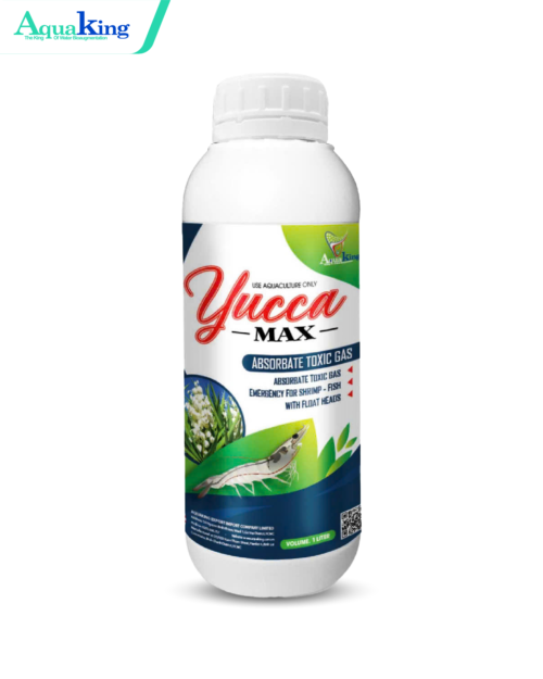 YUCCA MAX - Cách Xử Lý Khí Độc NH3, Cứu Tôm Cá Nổi Đầu