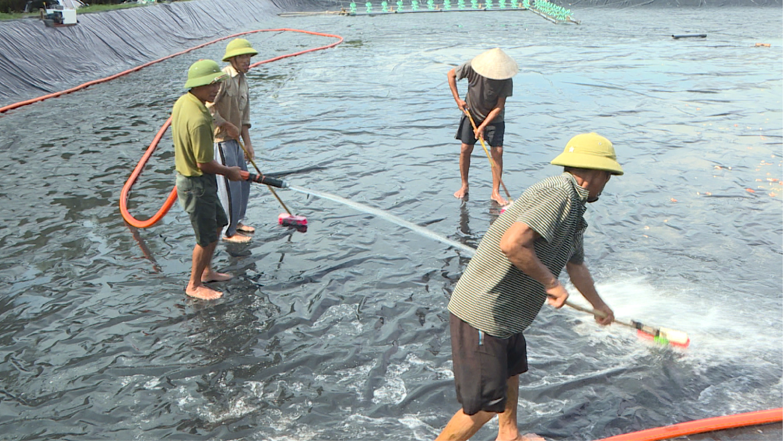 Kiểm soát môi trường nuôi tôm
