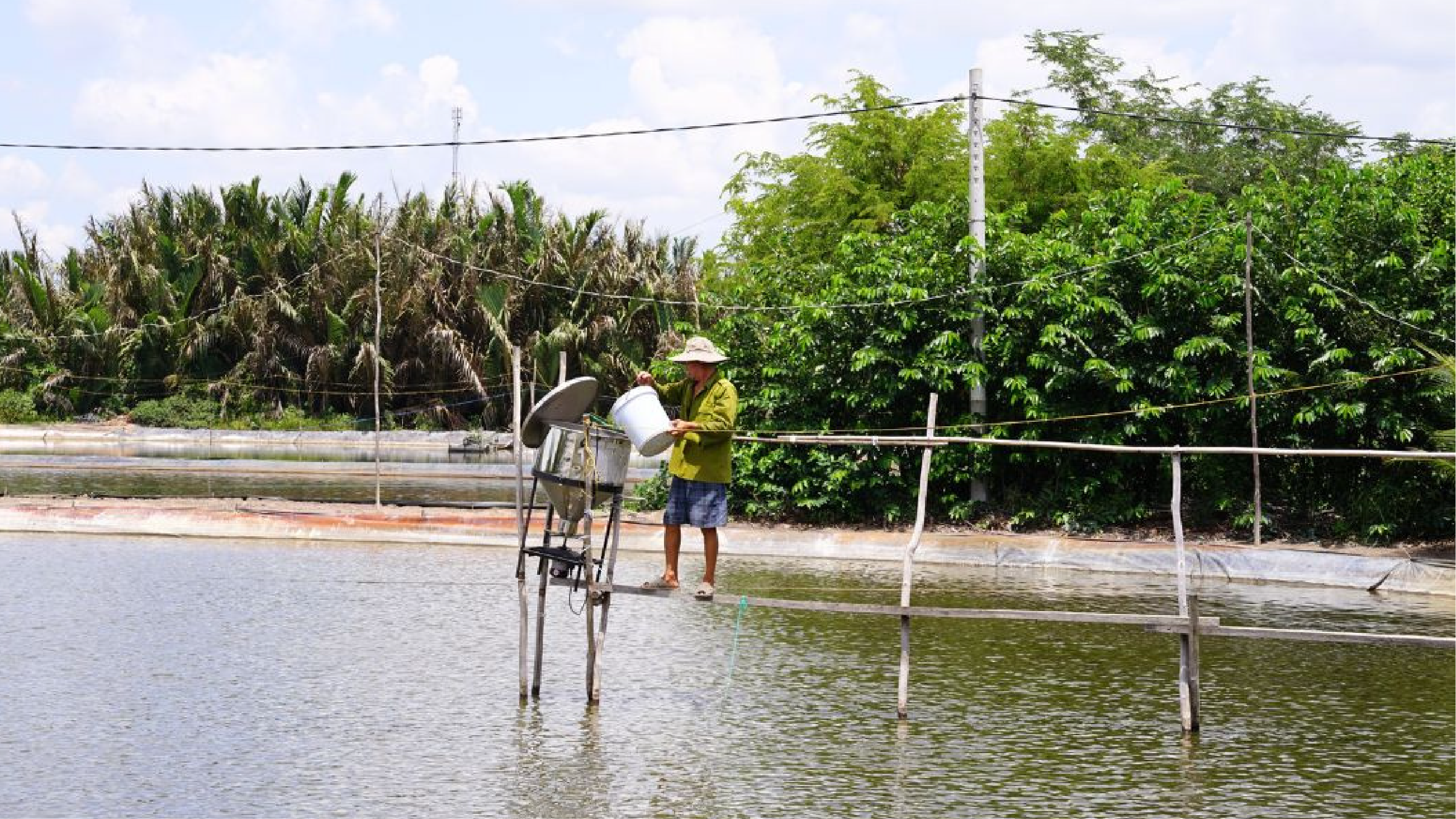 Máy trộn thức ăn chăn nuôi, một trong những công cụ giúp tiết kiệm chi phí cũng như thời gian