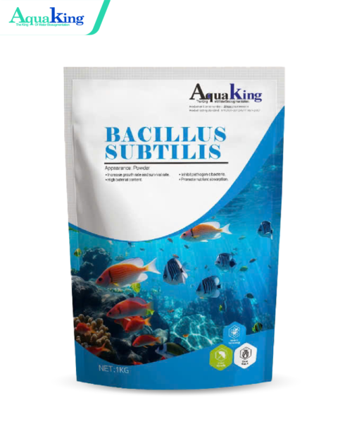Bacillus Subtilis - Men Tiêu Hóa Cho Tôm - Giúp Hấp Thu Dinh Dưỡng