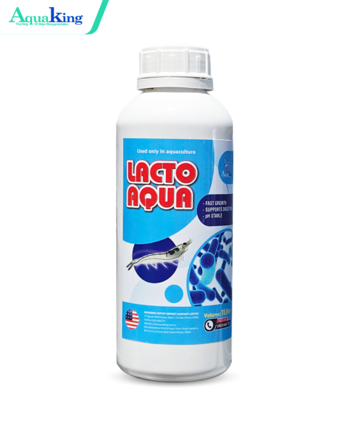 LACTO AQUA - Hỗ Trợ Tiêu Hóa Tôm Cá - Ngăn Ngừa Phân Trắng, Phân Lỏng