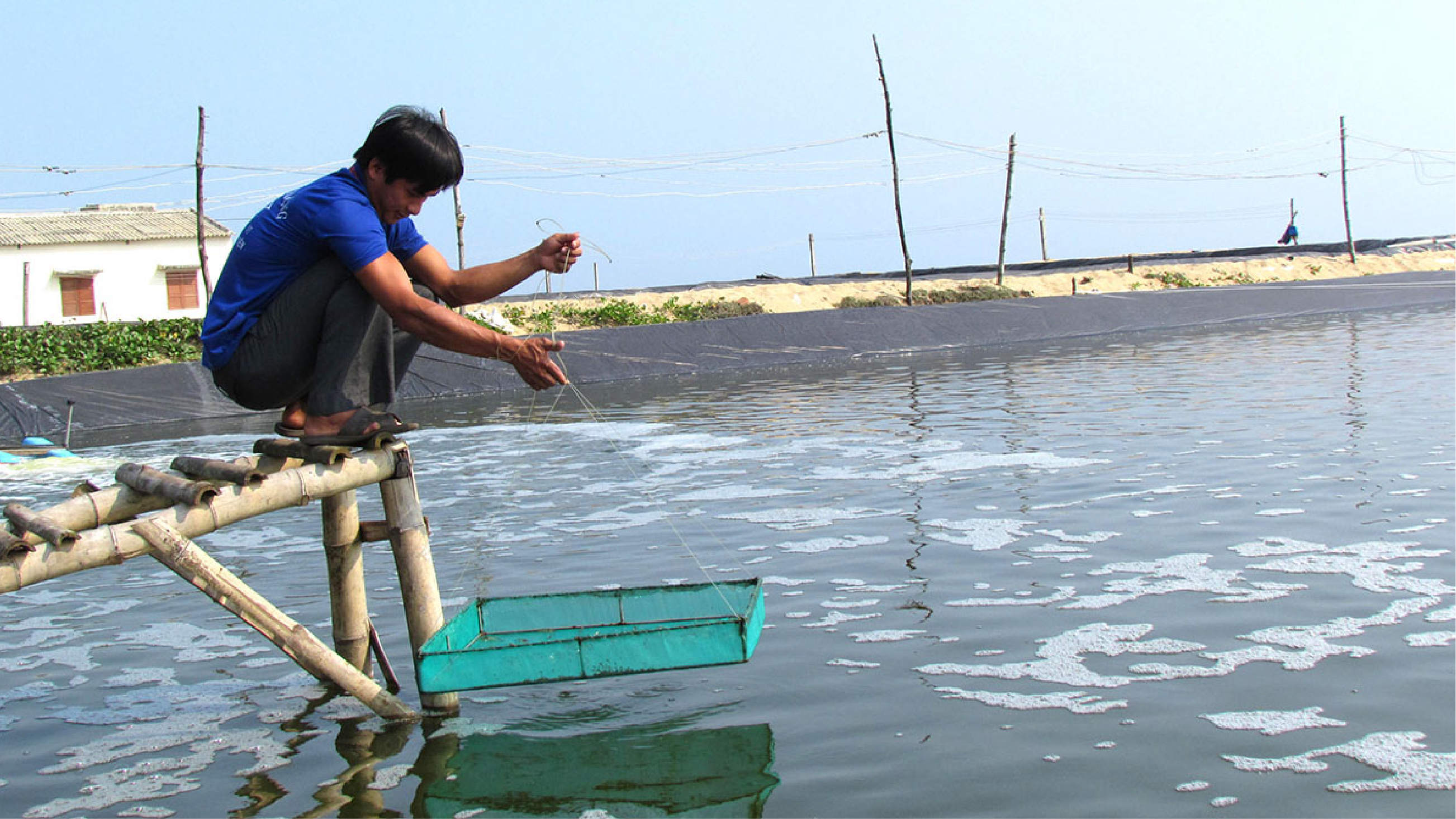 Người nuôi kiểm tra tình trạng ô nhiễm ao nuôi tôm