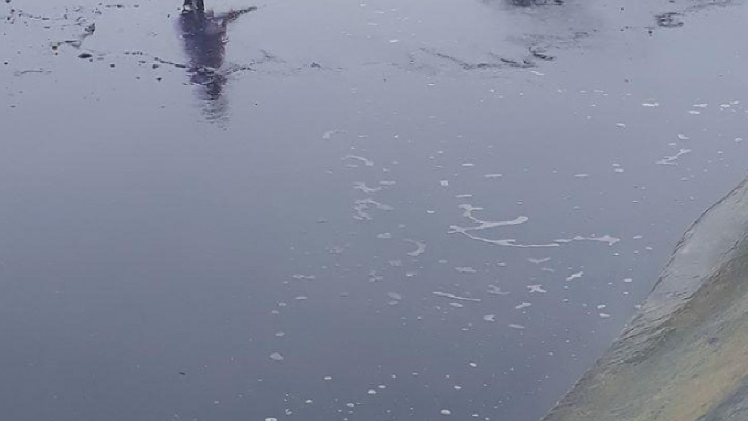 Hiện tượng bùn đáy xuất hiện trong ao nuôi tôm