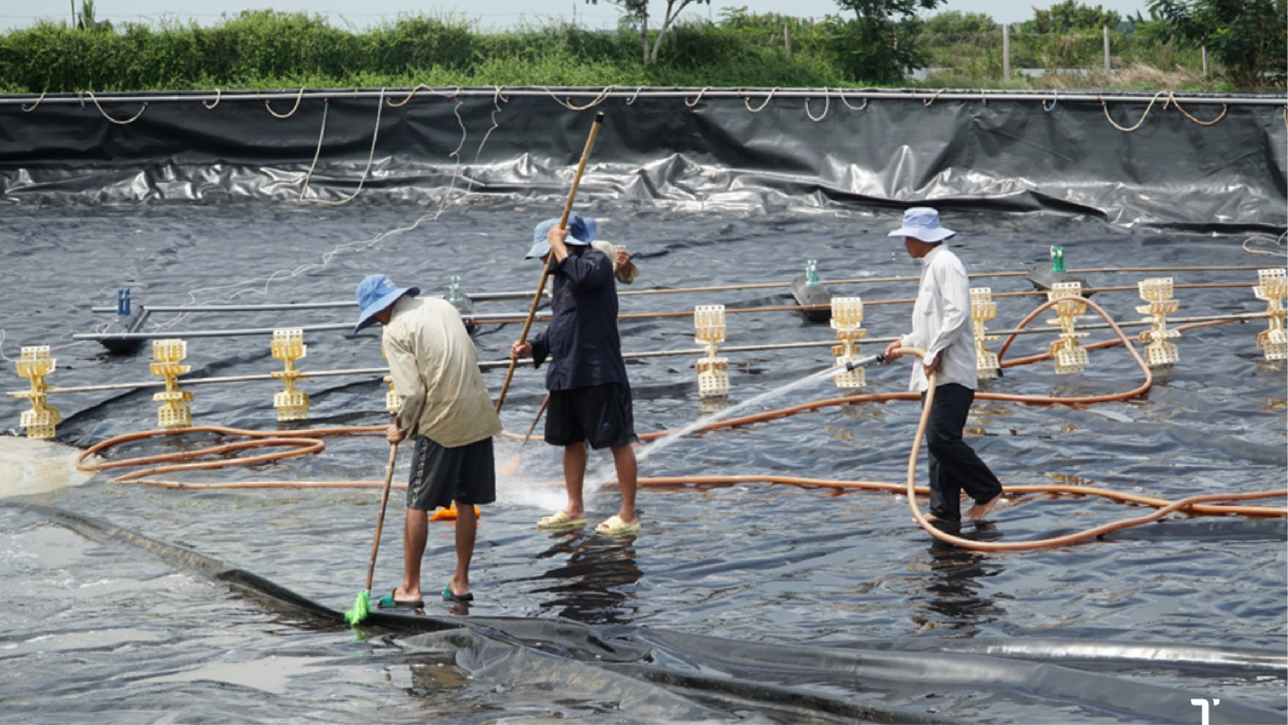 Xử lý bùn đáy ao trước khi thả giống tôm