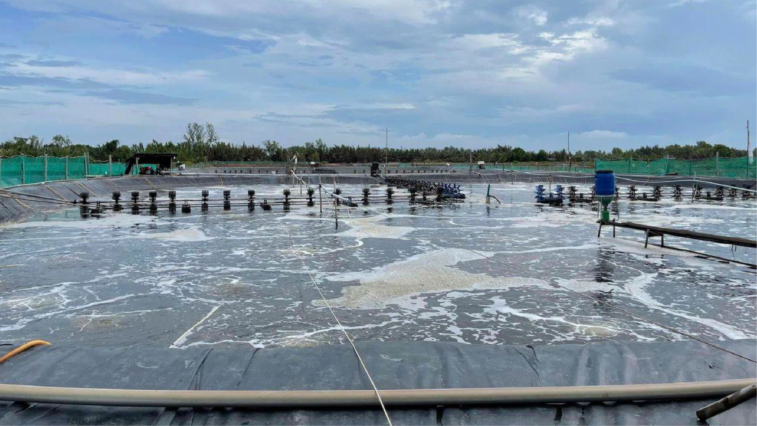 Xử lý nóng đáy ao không chỉ giúp tôm vượt qua giai đoạn nguy hiểm, mà còn mang lại nhiều lợi ích