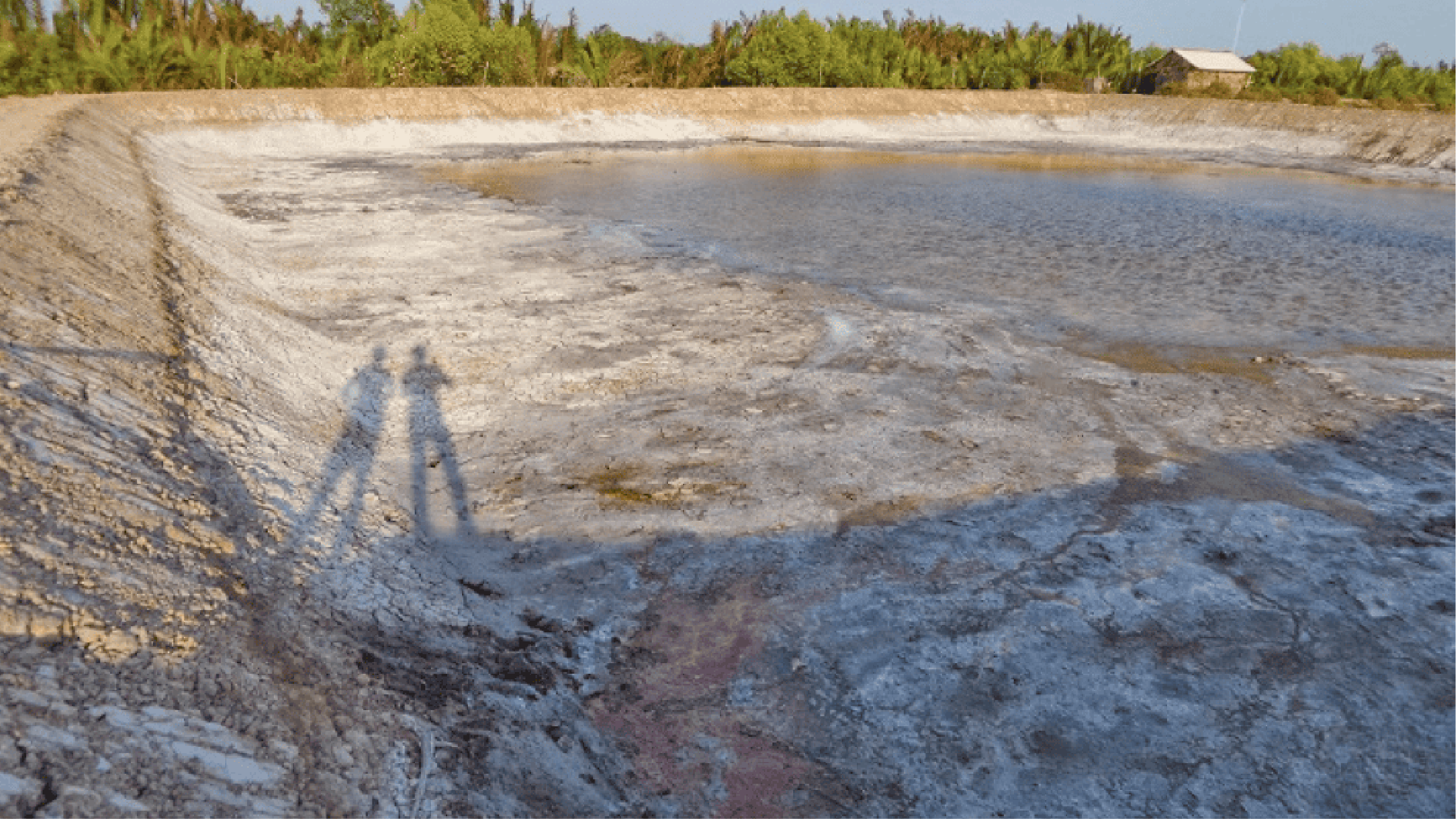 Phơi đáy ao nuôi tôm